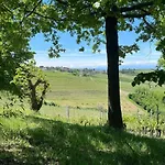 Ca Trifolera - Doppia Con Bagno - In Romantico Cascinale Nei Vigneti Con Cantina Gæstehus Barbaresco