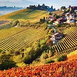 Ca Trifolera - Doppia Con Bagno - In Romantico Cascinale Nei Vigneti Con Cantina