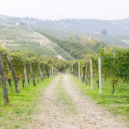 Ca Trifolera Barbaresco: Romantic Wine Estate In Langhe *
