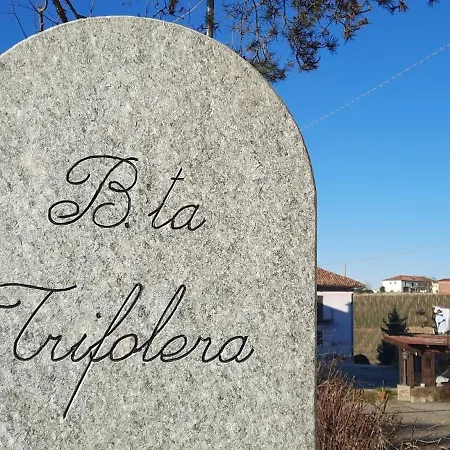Ca Trifolera Barbaresco: Romantic Wine Estate In Langhe Guest house Barbaresco