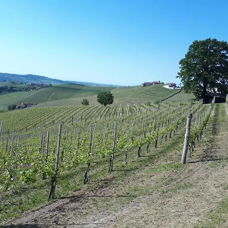 Ca Trifolera Barbaresco: Romantic Wine Estate In Langhe *