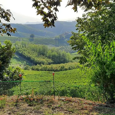 Affittacamere Ca Trifolera - Romantico Cascinale Con Antica Cantina Nel Cuore Delle Langhe - Degustazione Vini Nella Nostra Cantina Barbaresco