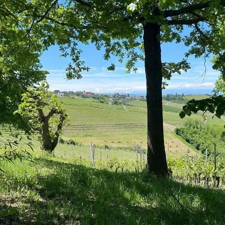 Ca Trifolera - Doppia Con Bagno - In Romantico Cascinale Nei Vigneti Con Cantina 게스트하우스 바르바레스코
