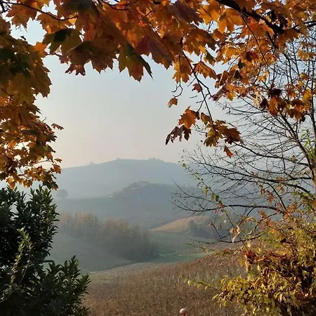 Ca Trifolera - Doppia Con Bagno - In Romantico Cascinale Nei Vigneti Con Cantina Gasthuis Barbaresco