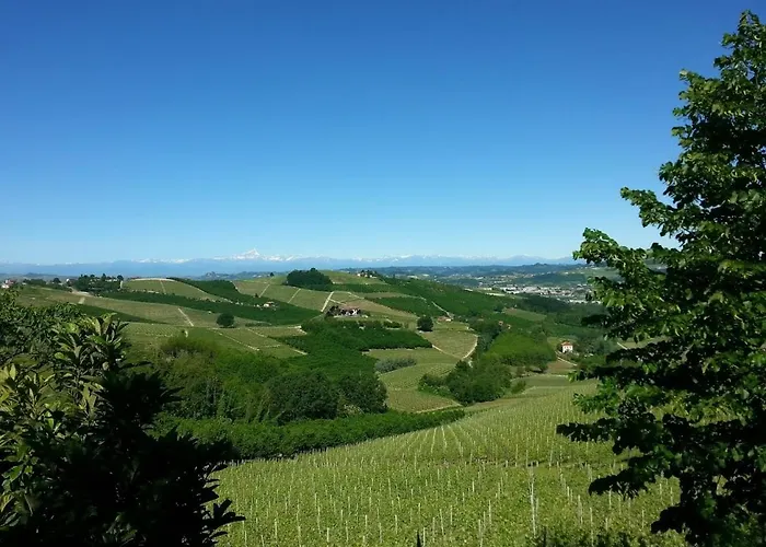 Ca Trifolera - Doppia Con Bagno - In Romantico Cascinale Nei Vigneti Con Cantina Gasthuis Barbaresco