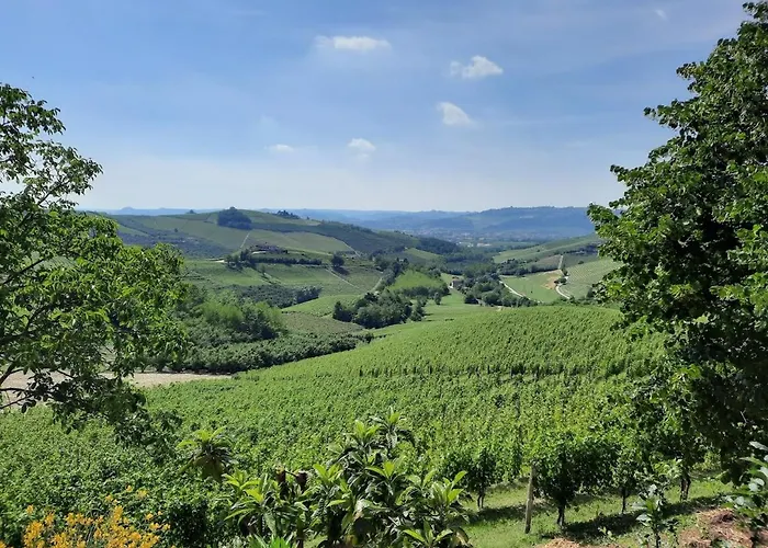 Ca Trifolera Barbaresco - Camera Doppia Con Bagno - In Romantico Cascinale Nei Vigneti Con Cantina Gasthof