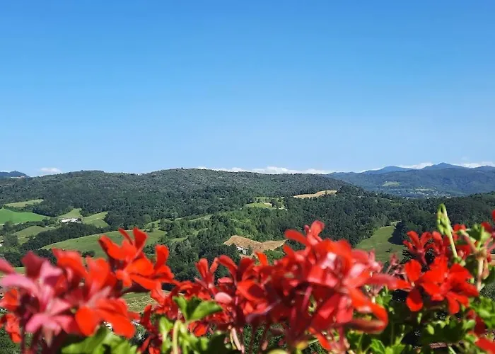 Ca Trifolera - Doppia Con Bagno - In Romantico Cascinale Nei Vigneti Con Cantina 4* Barbaresco