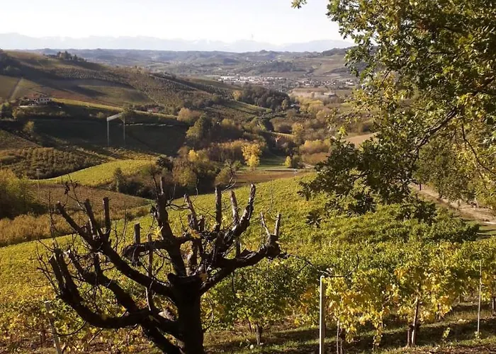 Gasthof Ca Trifolera Barbaresco - Camera Doppia Con Bagno - In Romantico Cascinale Nei Vigneti Con Cantina 4*