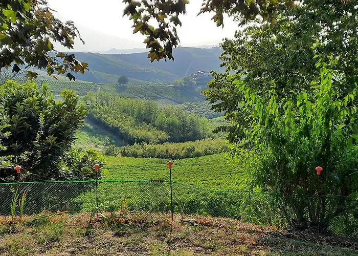 Gasthof Ca Trifolera Barbaresco - Camera Doppia Con Bagno - In Romantico Cascinale Nei Vigneti Con Cantina Barbaresco