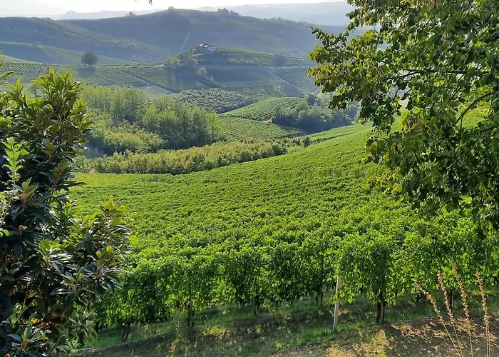 Ca Trifolera - Doppia Con Bagno - In Romantico Cascinale Nei Vigneti Con Cantina 4*