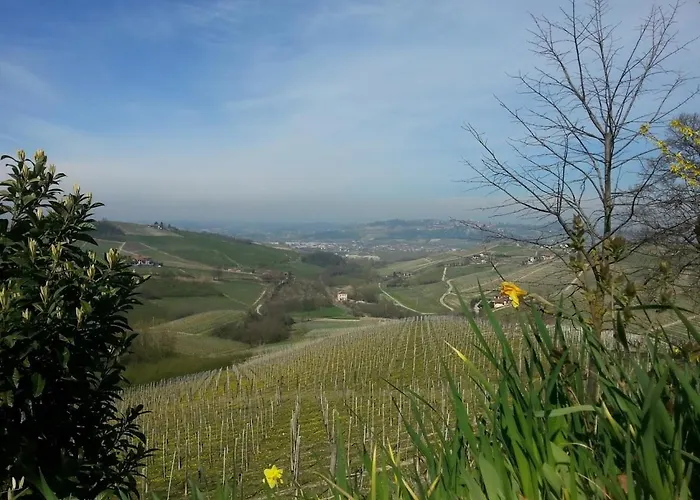 Ca Trifolera - Doppia Con Bagno - In Romantico Cascinale Nei Vigneti Con Cantina 4*